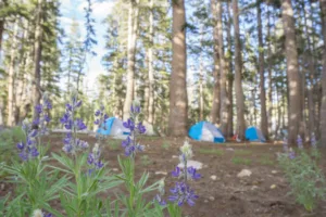 Alpine Lakes - Day 5 - Depart Backcountry and return to Bass Lake