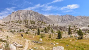 Mt Whitney with Horsepack Support - Day 3 - Hike along the PCT