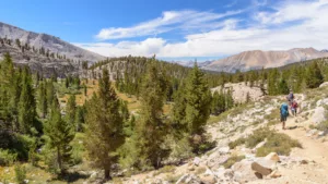 Mt Whitney with Horsepack Support - Day 6 - Hike to Rock Creek