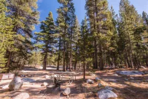 John Muir Trail: Agnew Meadows to Tuolumne Meadows - Day 1 - Meet your guides in Tuolumne Meadows