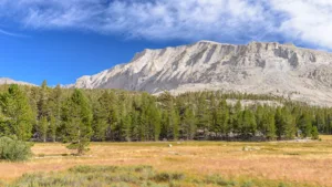 Trans-Sierra Trail to Mt. Whitney - Day 9 - Exit Cottonwood Pass