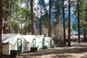 Half Dome Backpack - Day 1 - Meet your guide in Yosemite National Park