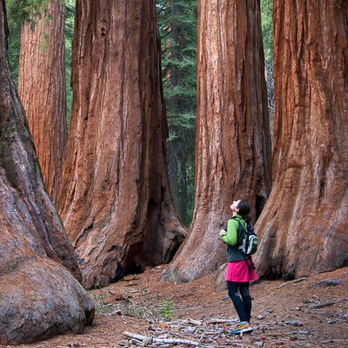 Yosemite Guided Hiking